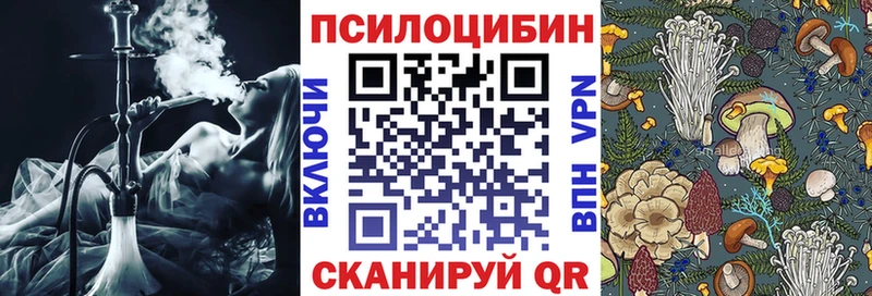 OMG как зайти  Канаш  Псилоцибиновые грибы Magic Shrooms 